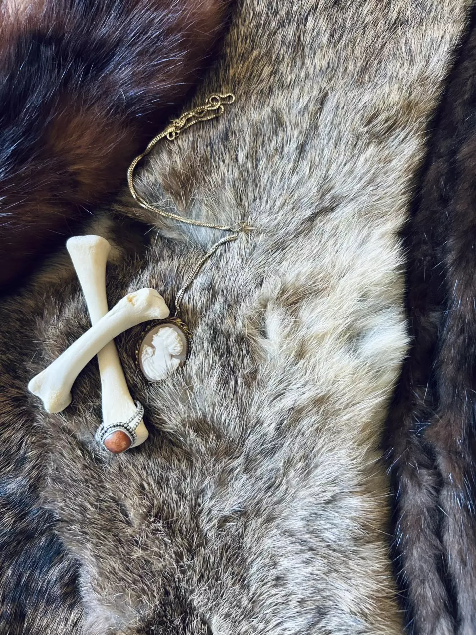 Crystals! Oddities! & More! I’ll be wrapping come say hi! :)