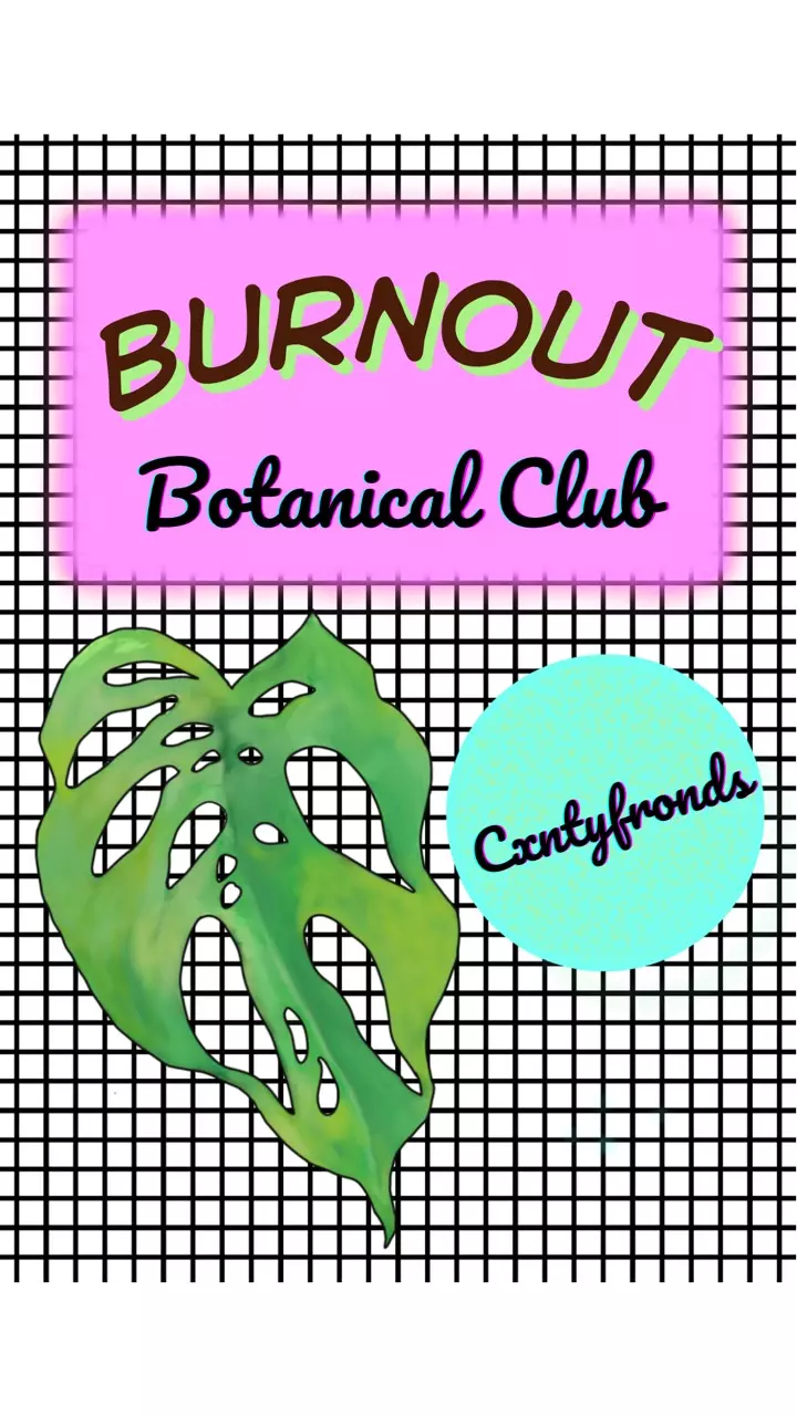 Cxnty With A Plant Problem