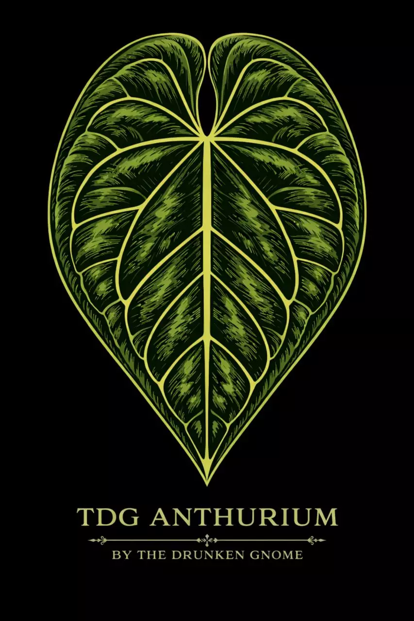 Anthurium Live