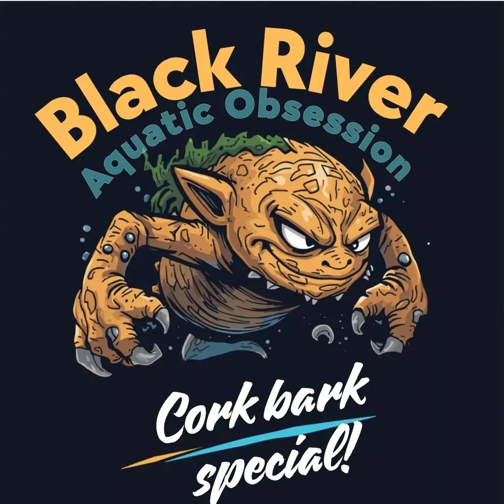 Click the bell! 🔥$1 start cork bark 🔥