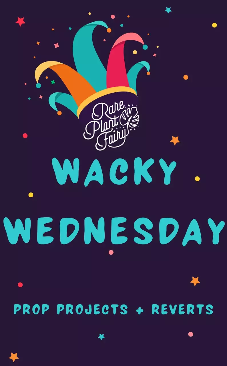 Wacky Wednesday — Part 2 🤪
