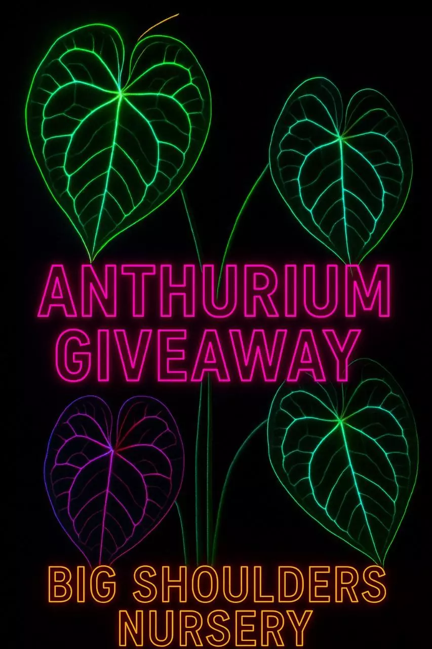 Come hangout in the greenhouse