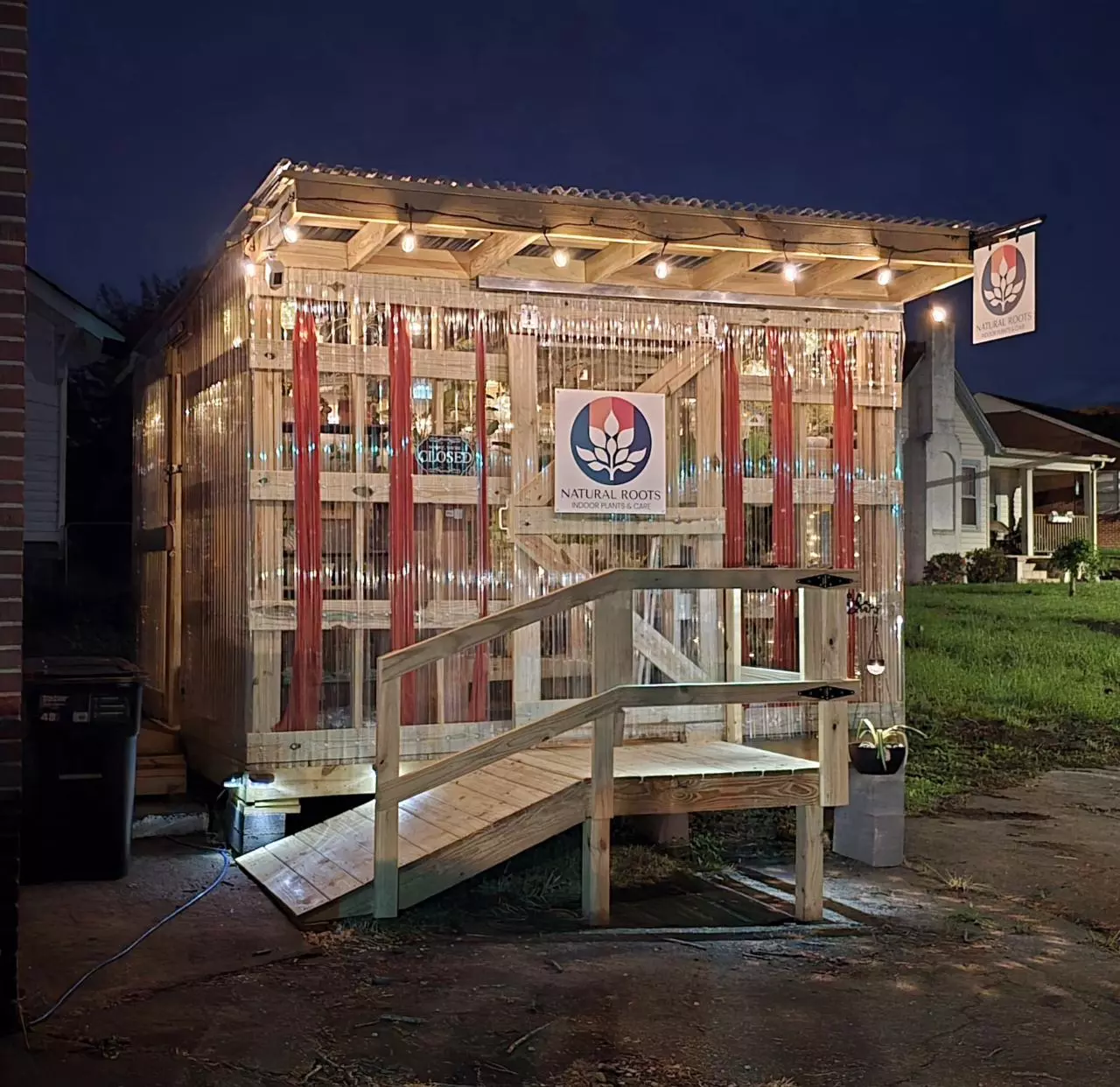 WE'RE BACK! Ships today UPS! Philo, Alocasia, Hoya, & MORE!