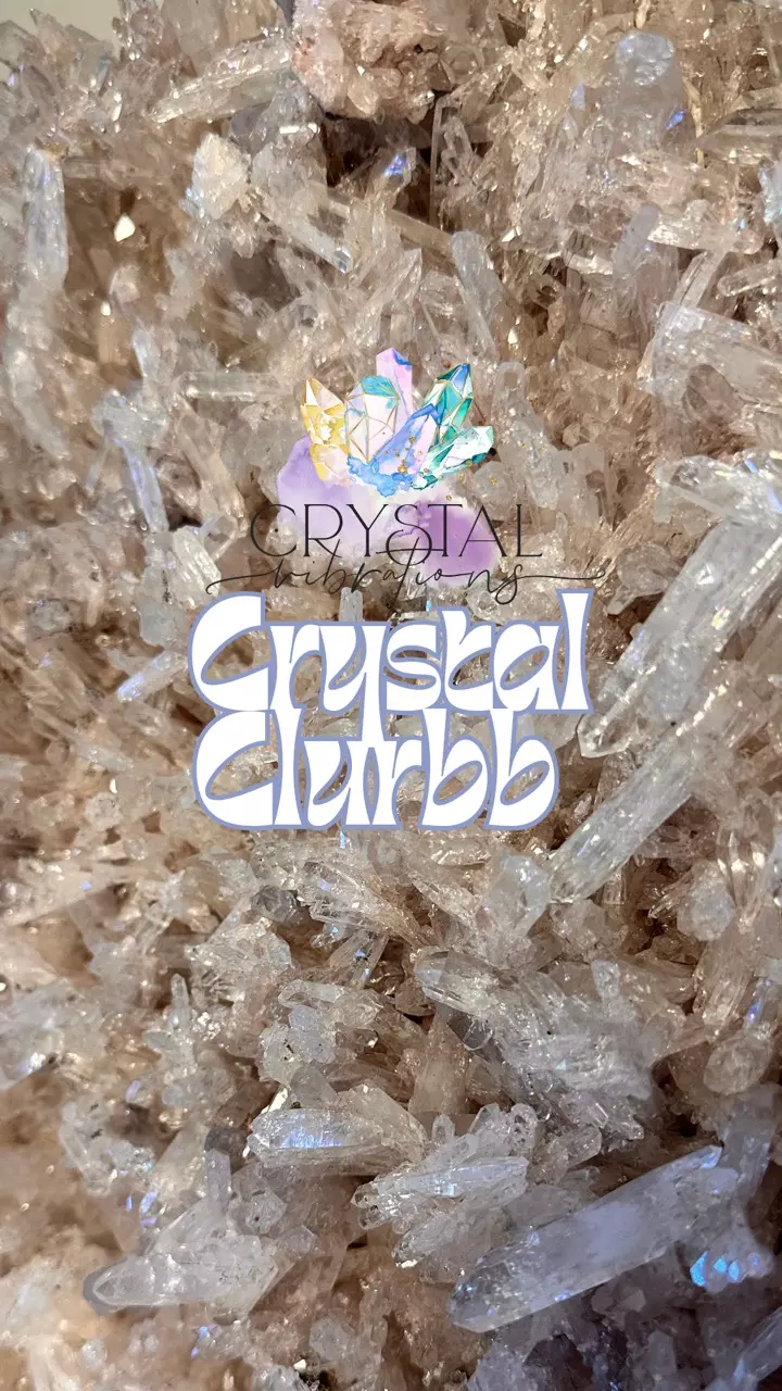 $1 Hollers Lets Get Crazy!