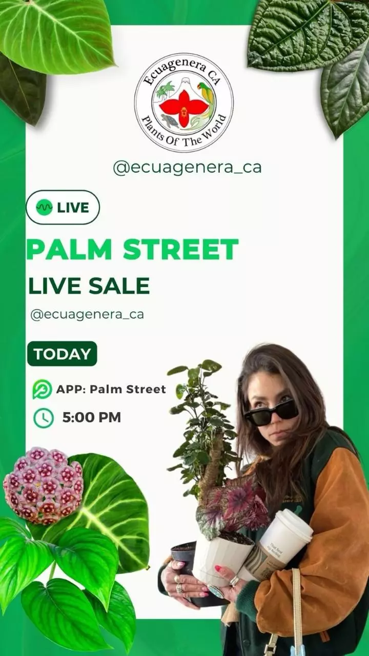 🪴🤗Live sales whit Lindsay👌