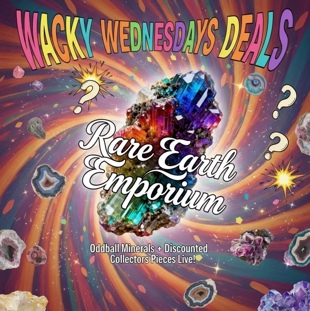 Wacky Wednesdy