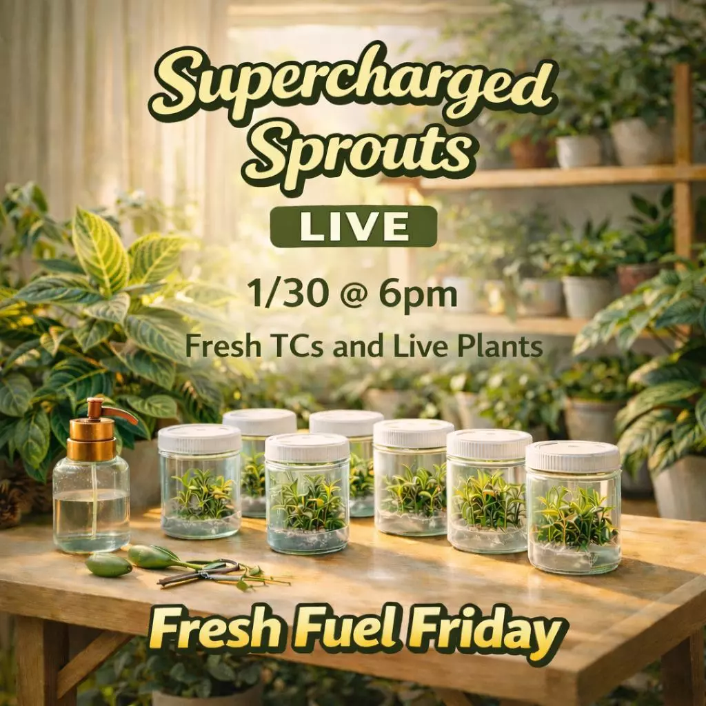 Fresh Fuel Friday: Hot New TCs