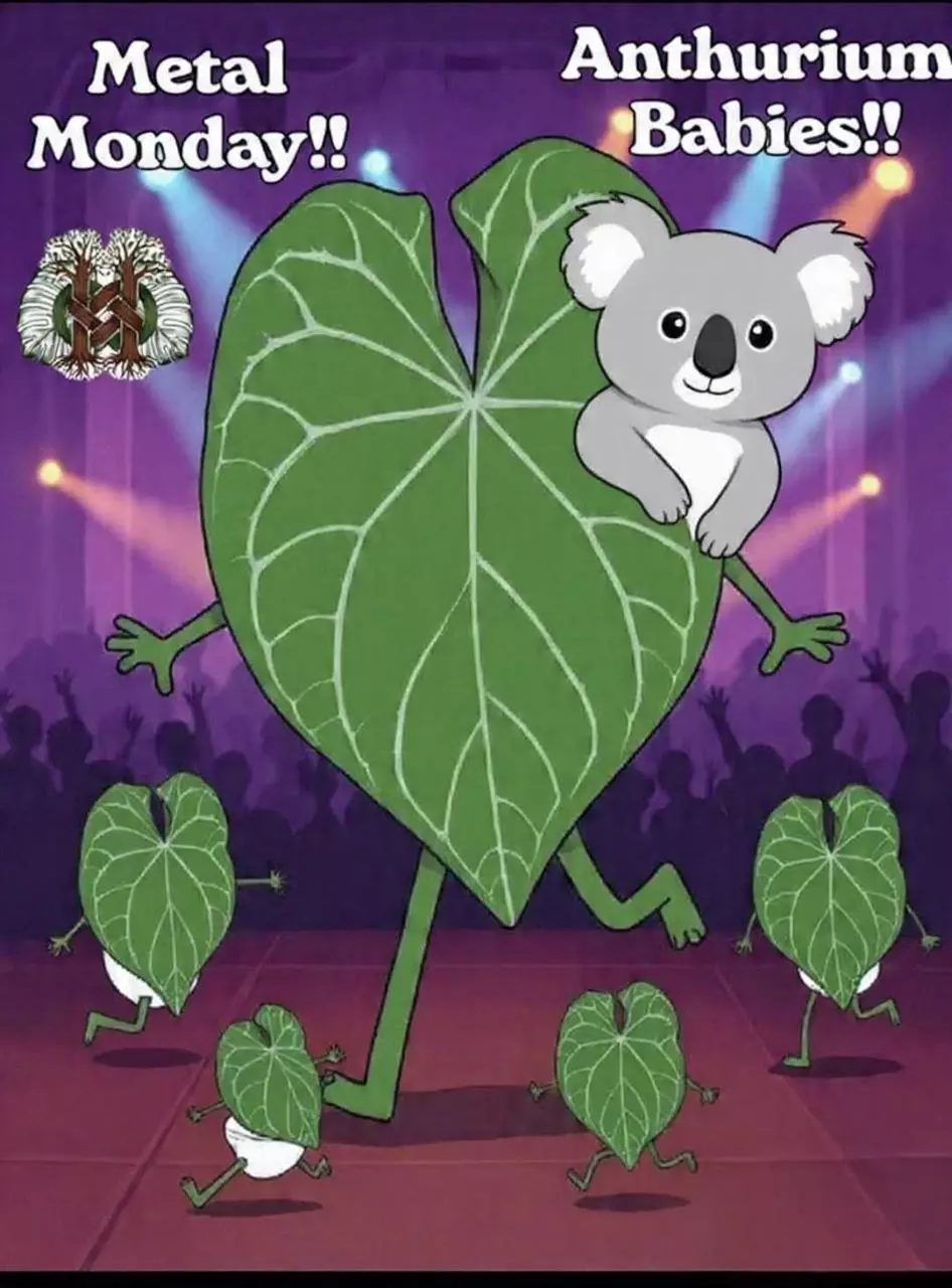 PLEASE READ DESCRIPTION FOR UPDATE