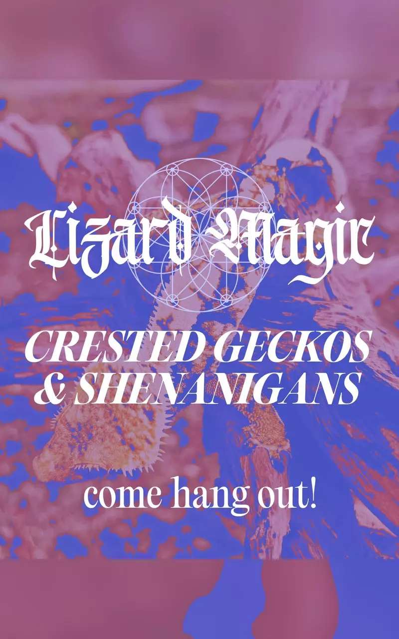 “early” pop up live