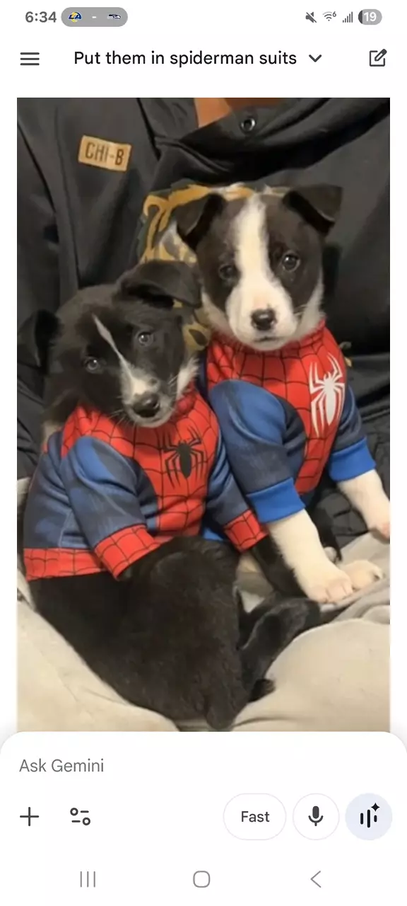 First brick show!! 17 unique buyers away from 50 stop by!