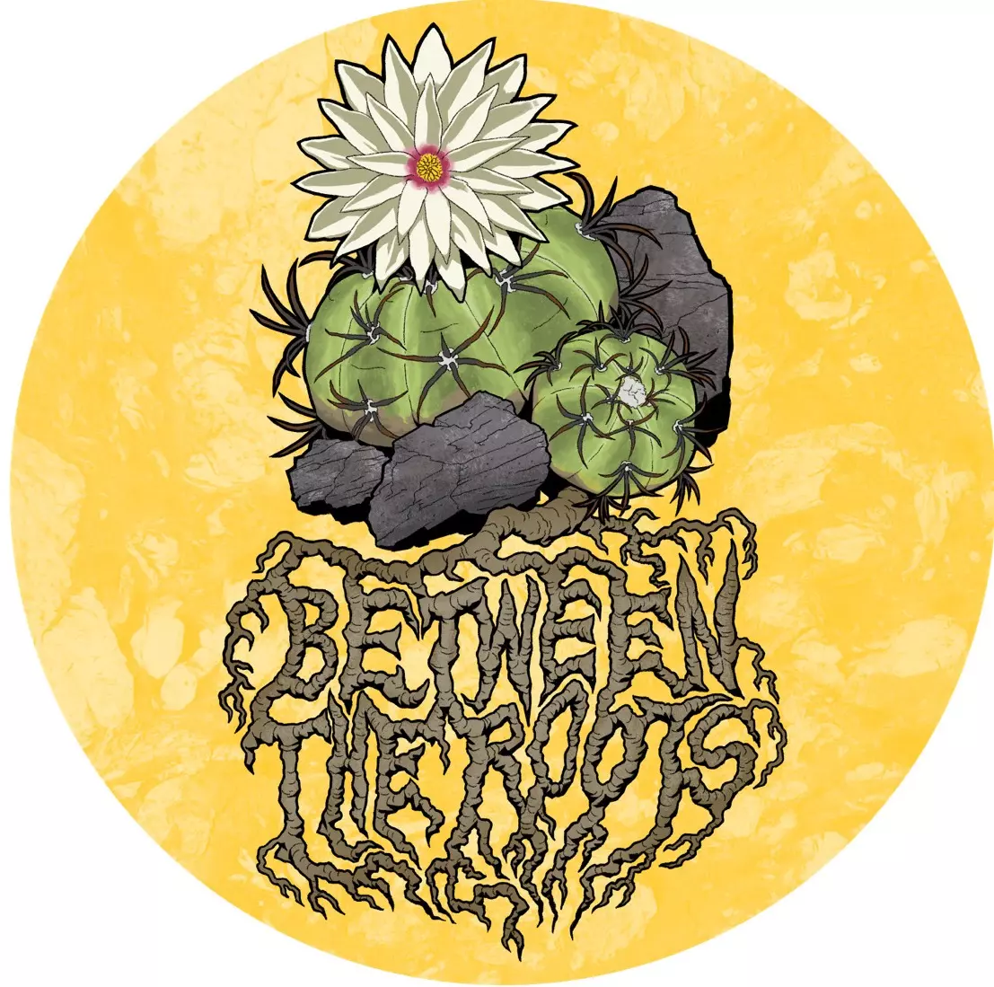 Findings from the cactus realm