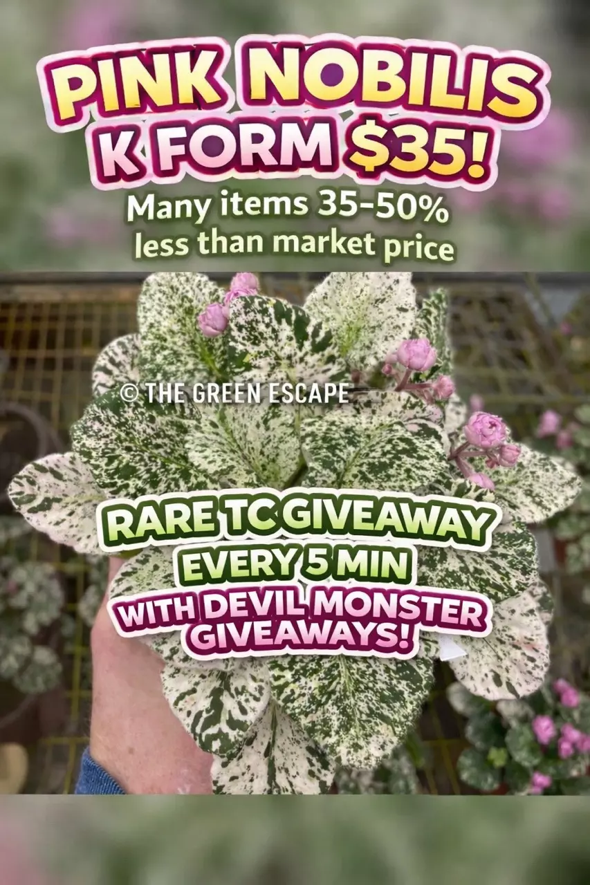 Scott and Kam+ new shipment of cheapest tc on the market👀