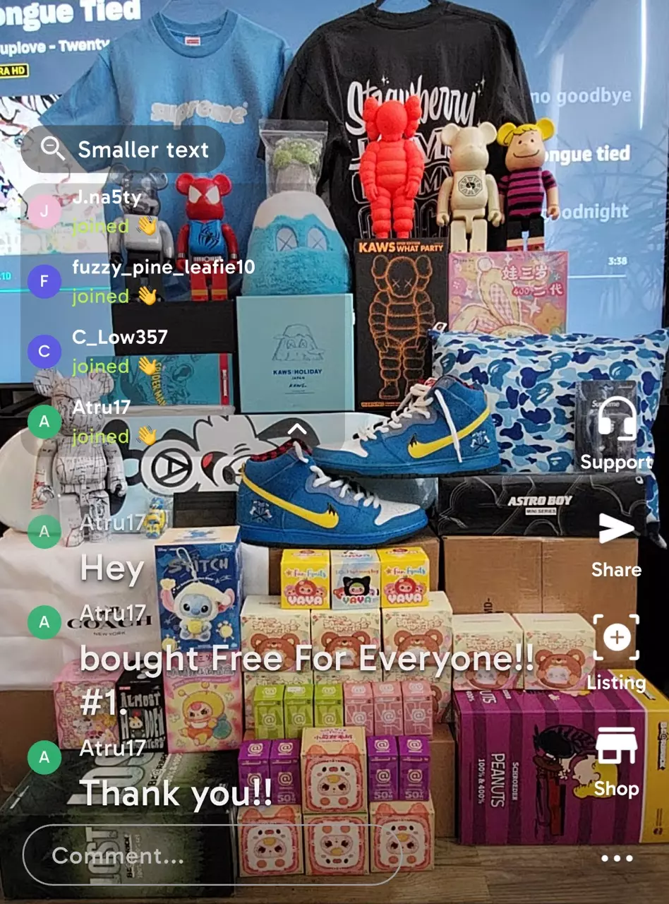 Kaws! Bearbricks! Supreme! Nike! Coach!