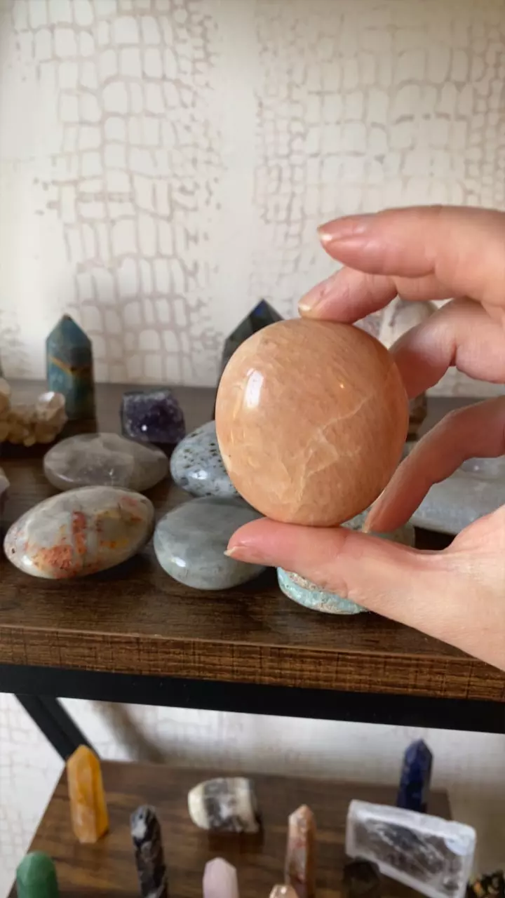 plant/Peach moonstone palm (Bridget)-0