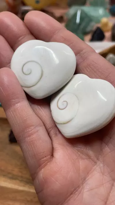 plant/SHIVA EYE (MERMAID TEARS) -0-thumbnail