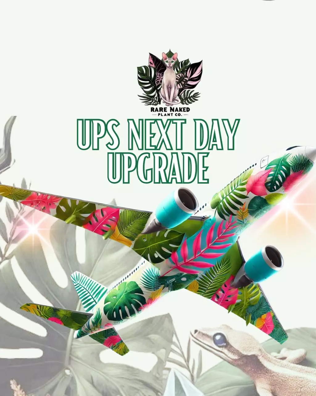 plant/Shipping Next Day Upgrade-0