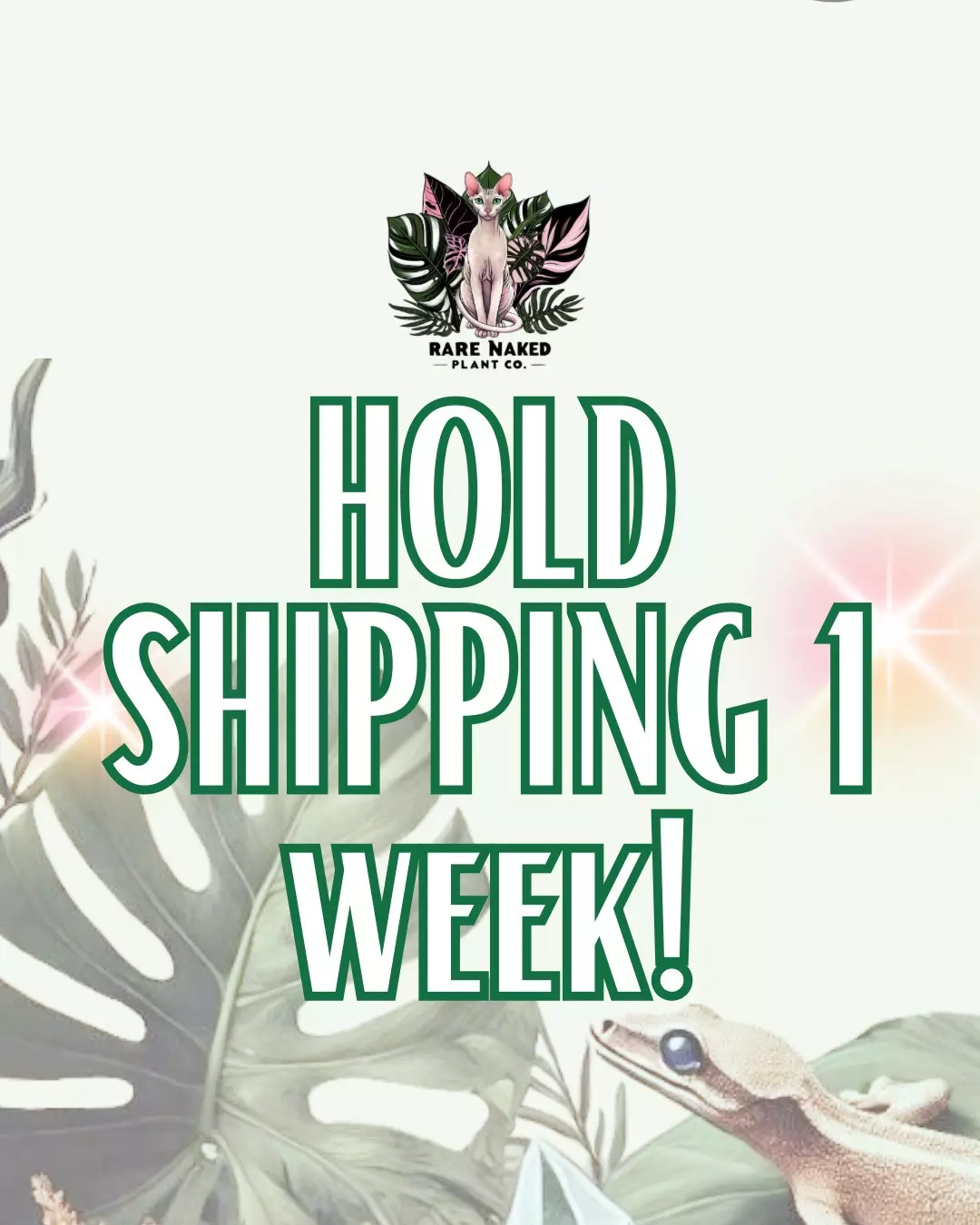 plant/Hold Shipping 1 Week-0