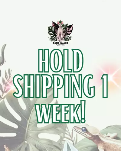 plant/Hold Shipping 1 Week-0-thumbnail