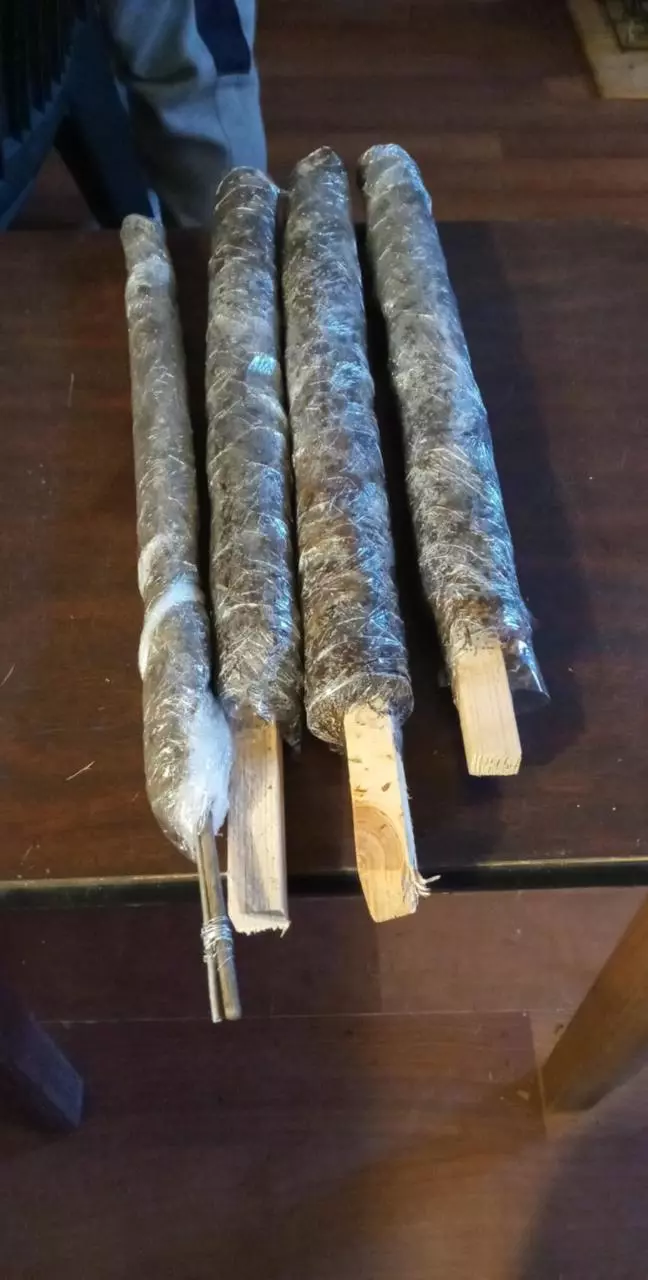 plant/2" ft moss pole-0