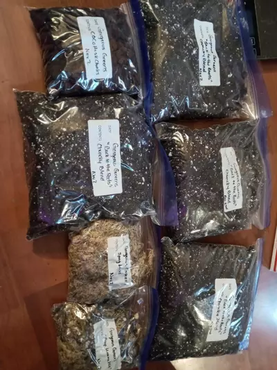 plant/4qts CHUNCKY-0-thumbnail