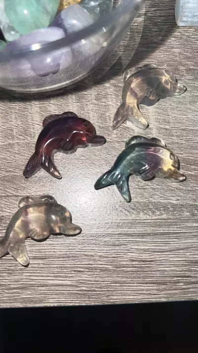 plant/Fluorite Dolphin-0-thumbnail