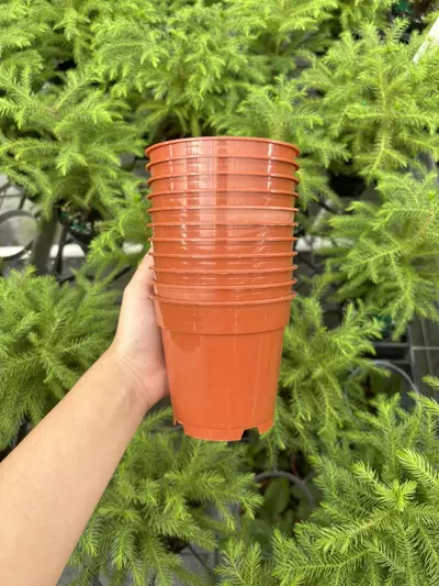 plant/4” Terra Cotta Pot (10)-0-thumbnail