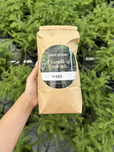 plant/Sphagnum Moss-0-thumbnail