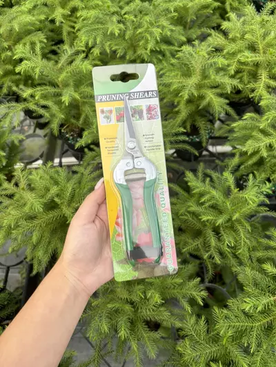 plant/Pruner-0-thumbnail