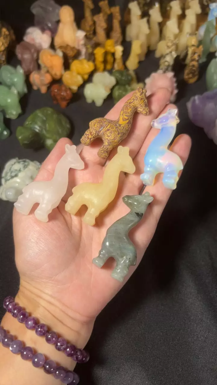 plant/Giraffe! (Pick 1)-0