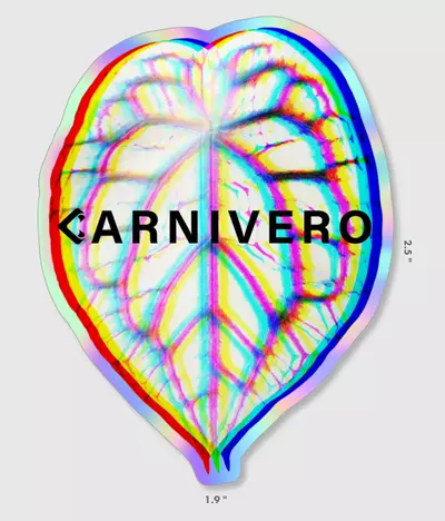 plant/Holo Anthurium Sticker-0-thumbnail
