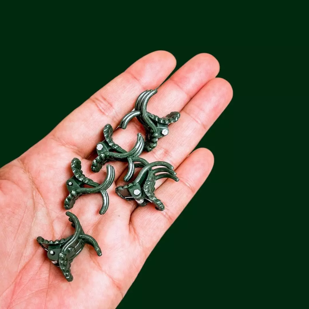 plant/Plant clips (4inx4in box full)-2