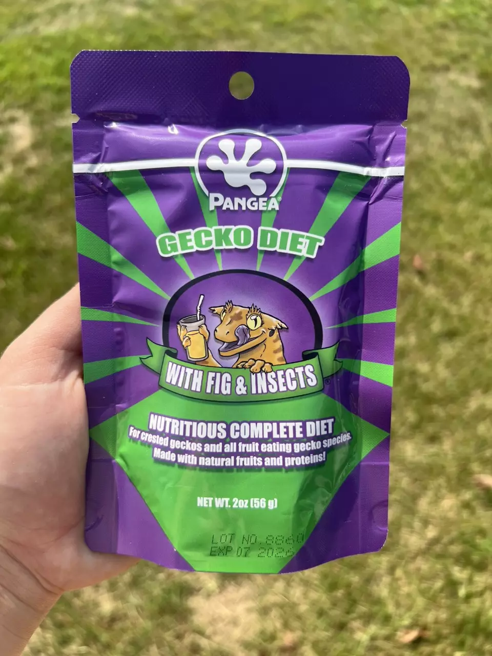 plant/2 Oz. Fig & Insects Pangea Gecko Diets-0