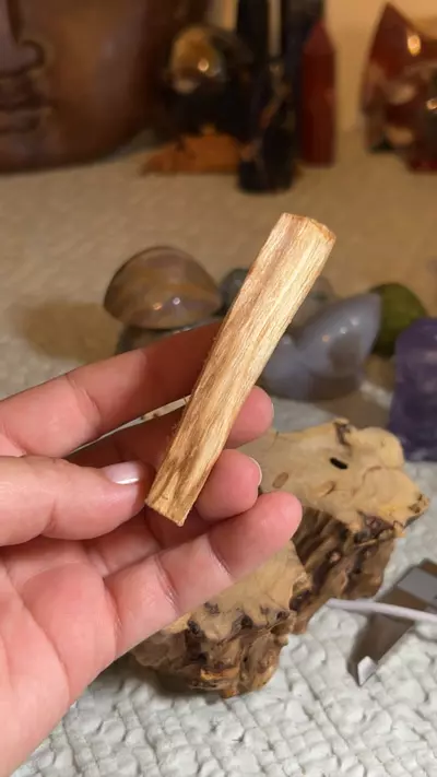 plant/Palo Santo - Peru-0-thumbnail