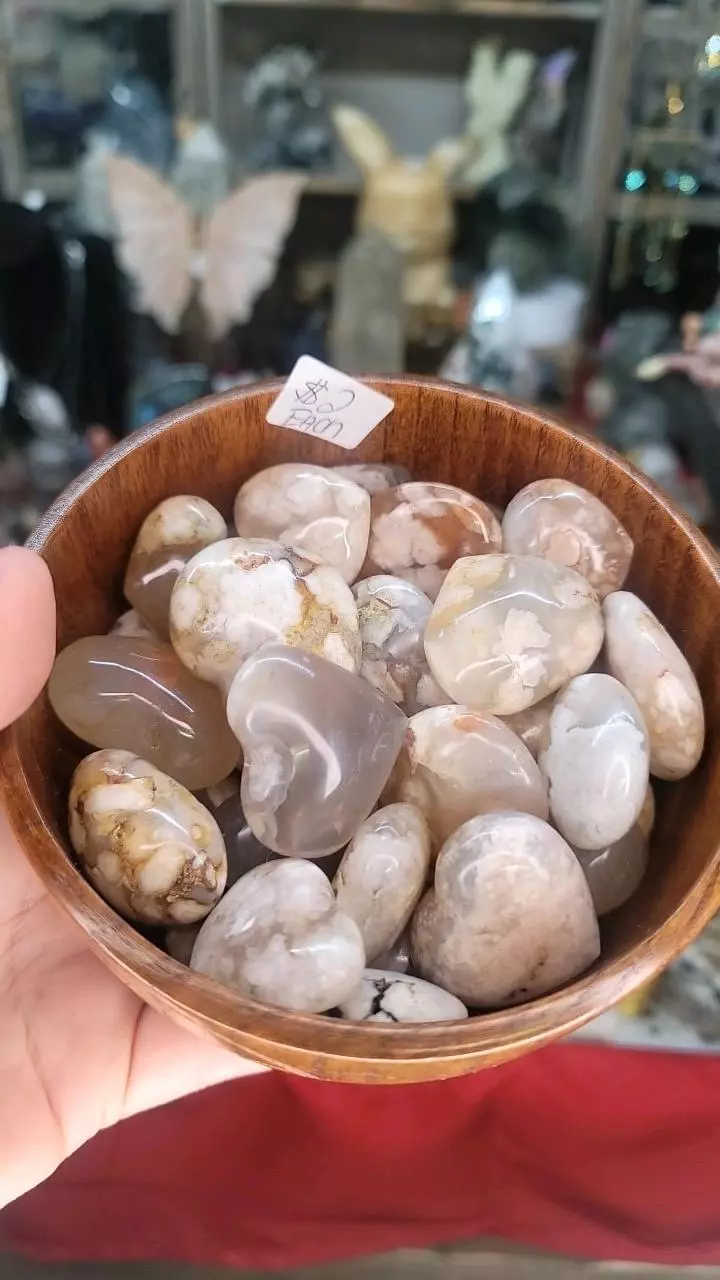 plant/Flower agate-0