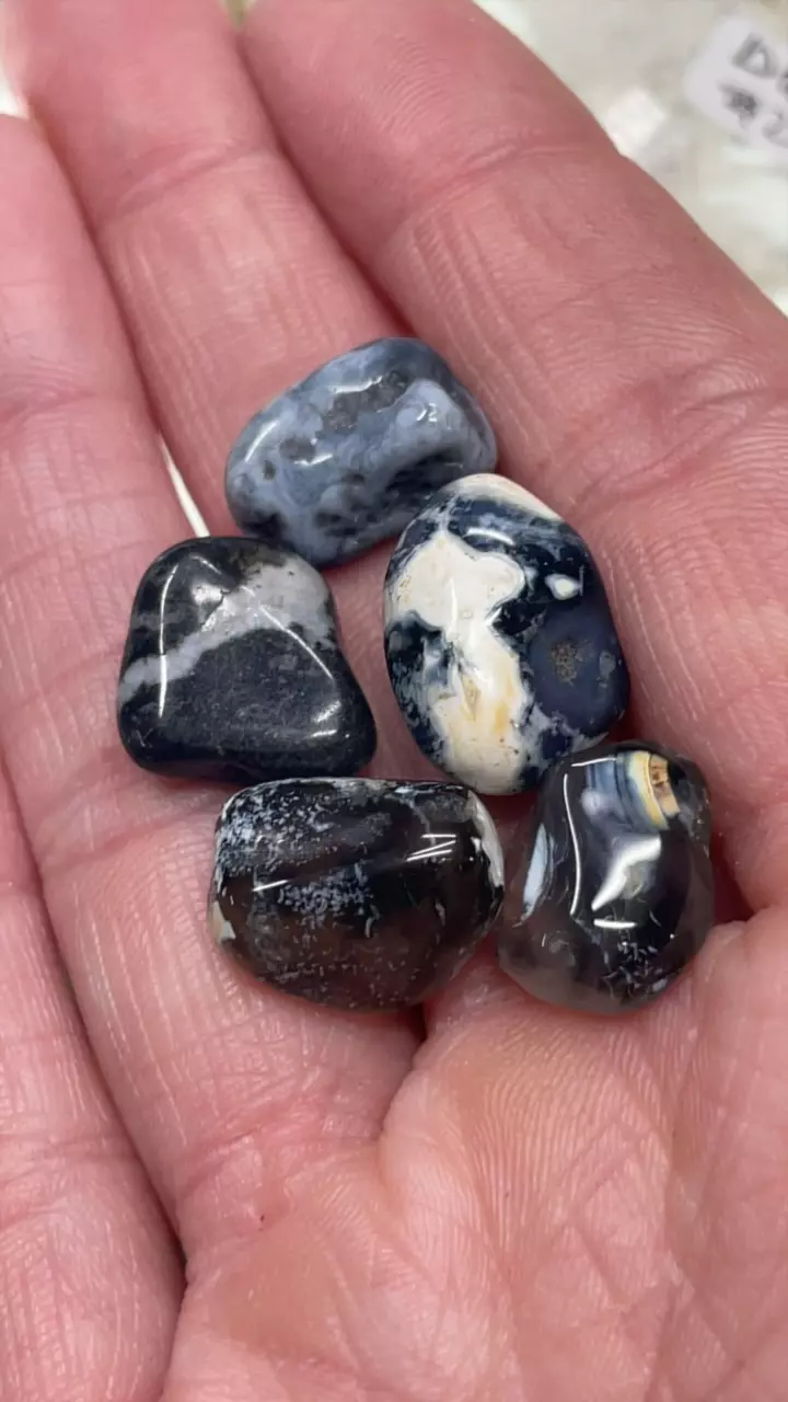 plant/OREGON BLUE AGATE MINI TUMBLE-0