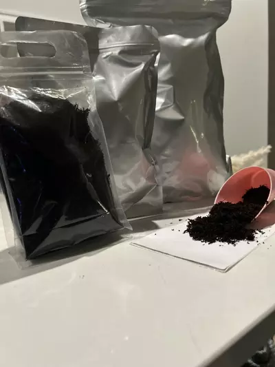 plant/New Zealand Tree Fern Soft Orchid Substrat-0-thumbnail