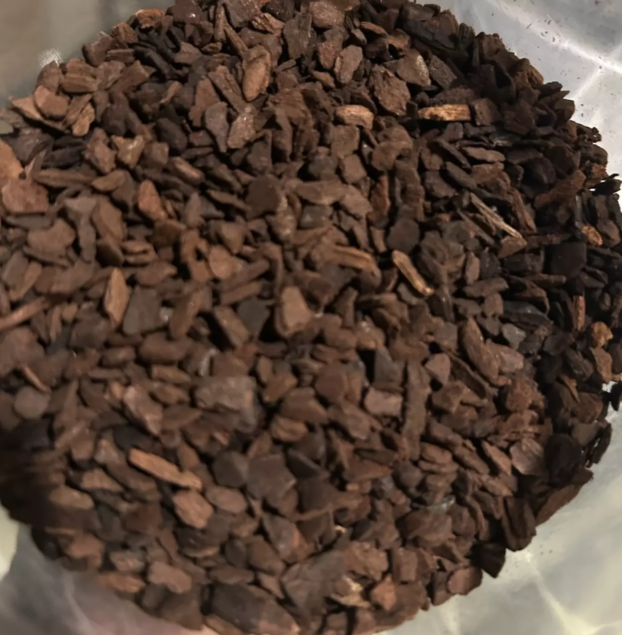 plant/New Zealand Orchiata Bark Small-0