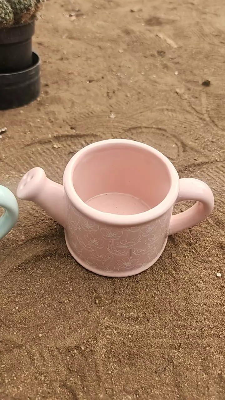 plant/Pink water jug-0