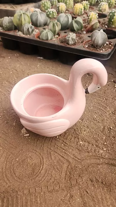 plant/LP flamingo-0-thumbnail