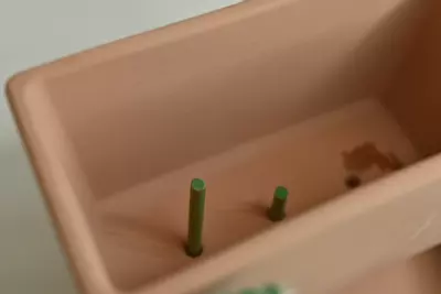 plant/Plant Wick Sticks 10 Count-3-thumbnail