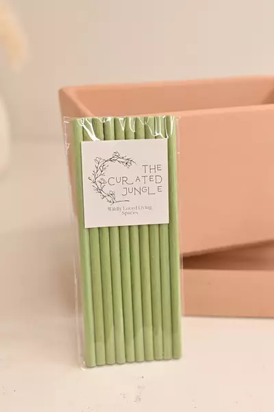 plant/Plant Wick Sticks 10 Count-0-thumbnail