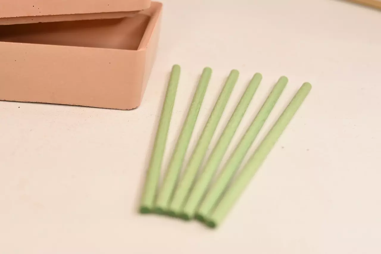 plant/Plant Wick Sticks 10 Count-1