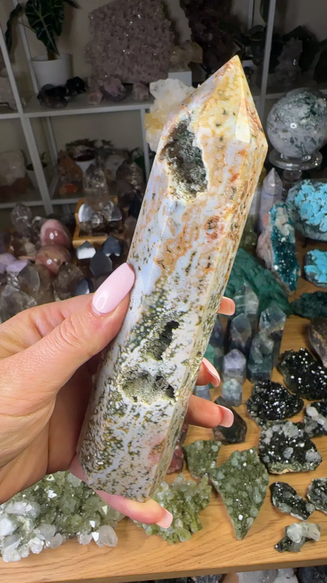 plant/Sea Jasper-0