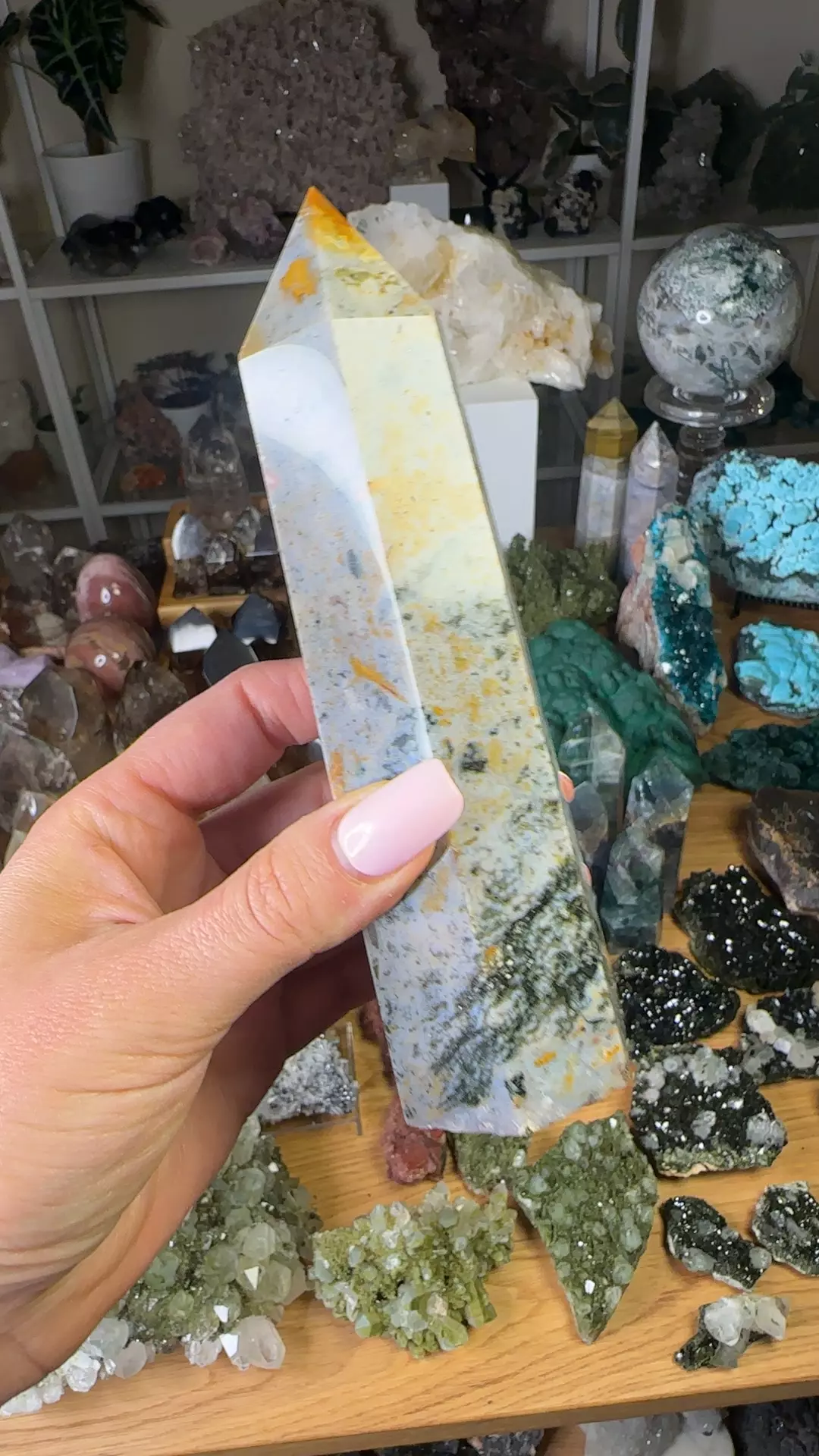 plant/Sea Jasper-0