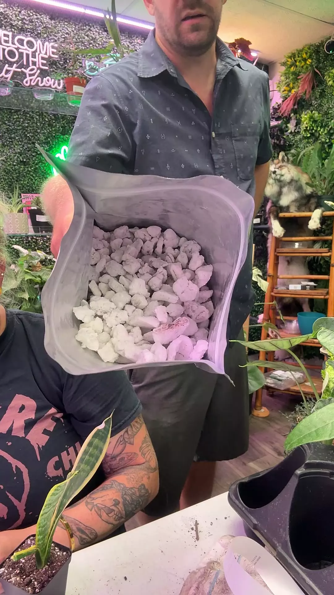 plant/CHONKY perlite-0