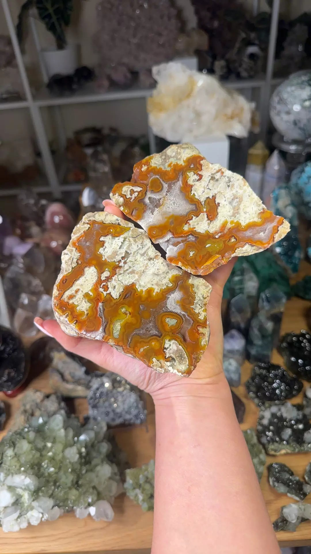 plant/Red Black Sea agate-0