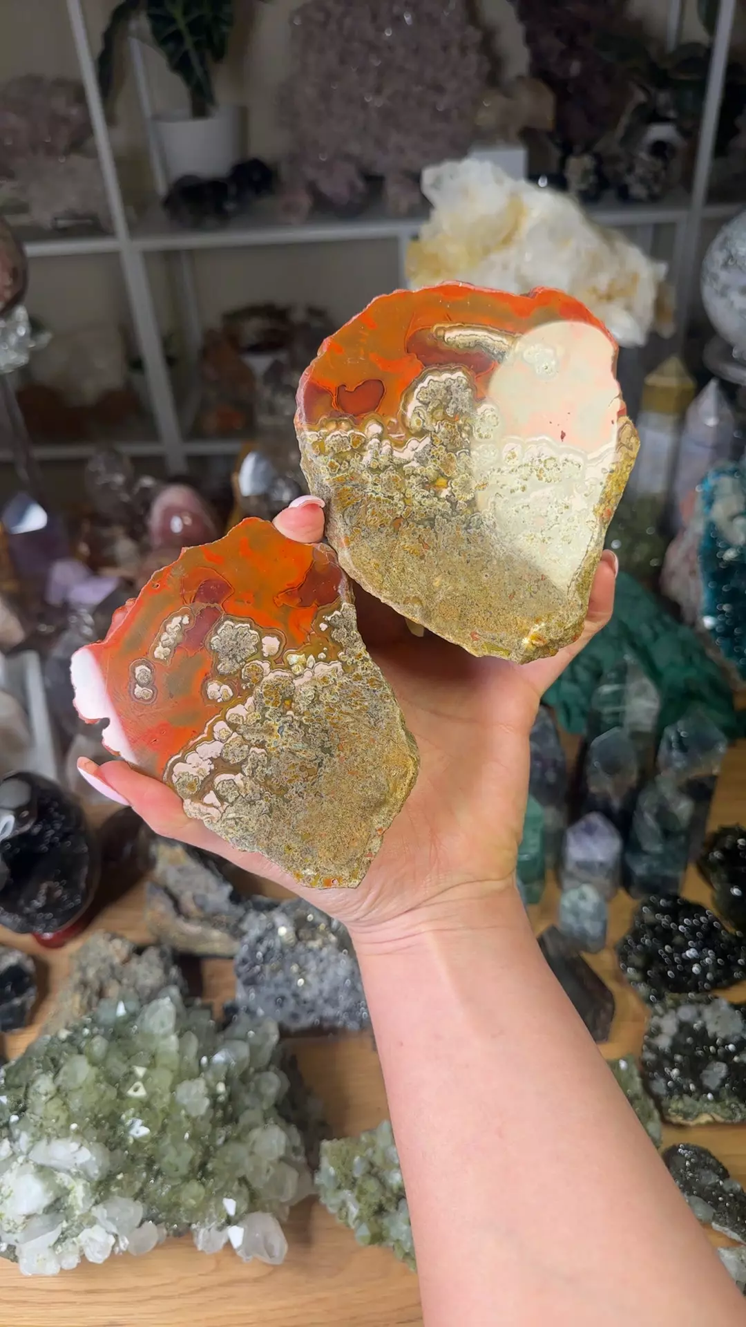 plant/Red Black Sea agate-0