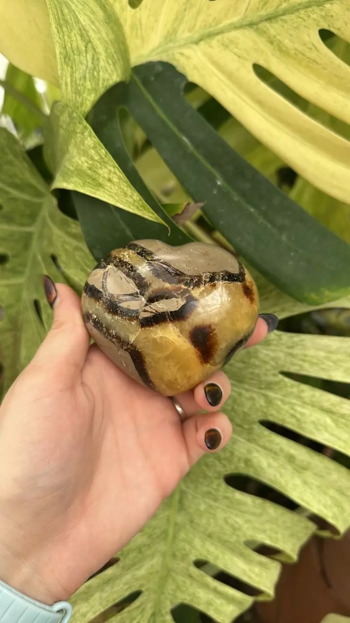 plant/PS-6269 Septarian carved Heart-1