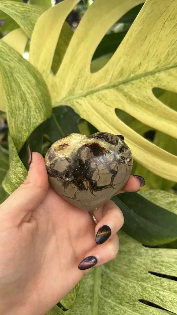 plant/PS-6268 Septarian carved Heart-1