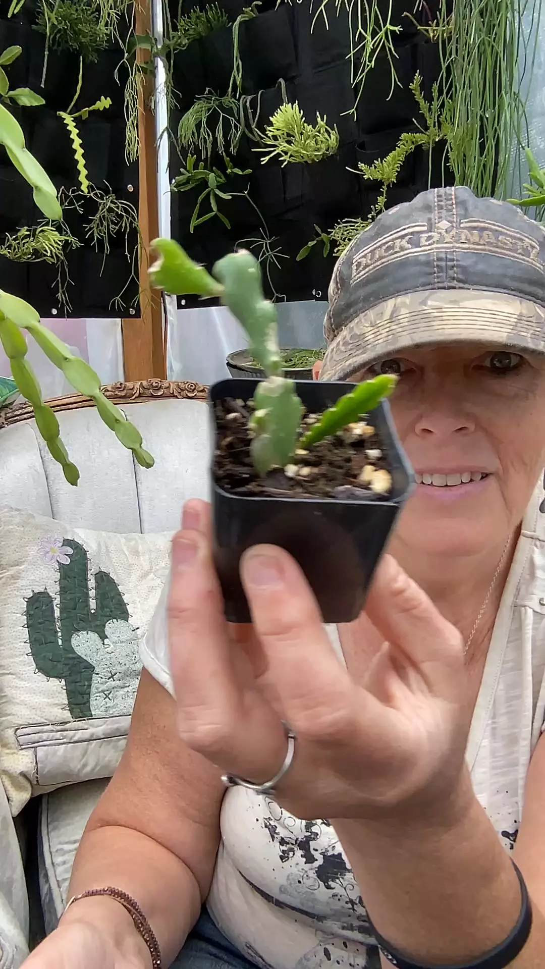 plant/Cactus Epiphyllum Fishbone 2”-0